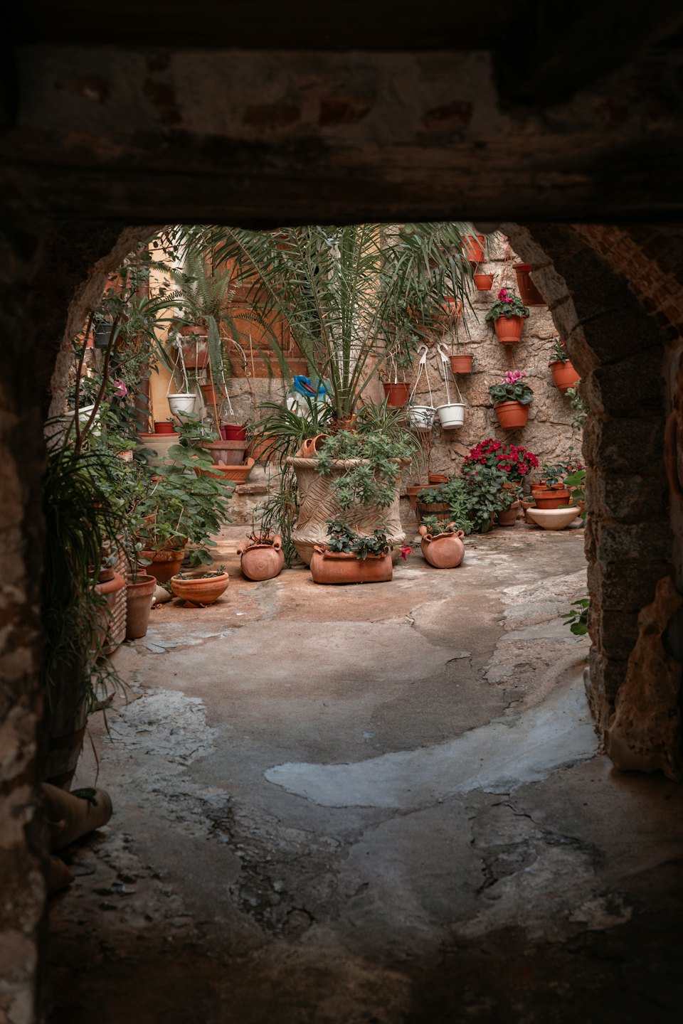 Piante in vaso e fiori in un cortile di pietra.